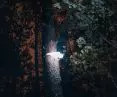 HUBS - unique lamps adapted to the forest space