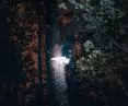 HUBY – wyjątkowe lampy przystosowane do przestrzeni leśnej