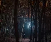 HUBY – wyjątkowe lampy przystosowane do przestrzeni leśnej