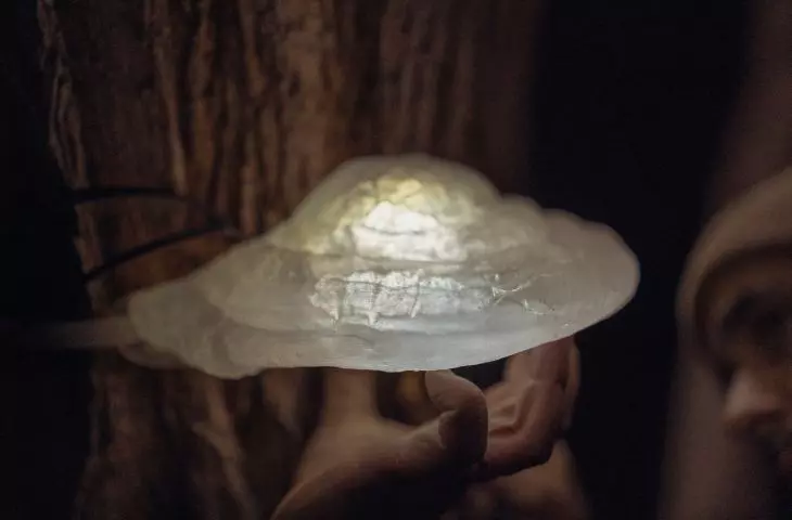 HUBY – wyjątkowe lampy przystosowane do przestrzeni leśnej