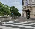 leszczyny na ul. 27 Grudnia w Poznaniu, które mają zostać zastąpione nowymi platanami  