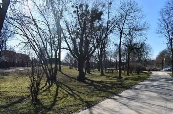 Kłobuck