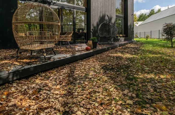 The environment of the house has a semi-forest characeter