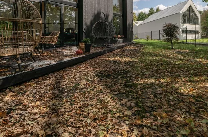 The environment of the house has a semi-forest characeter