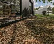 The environment of the house has a semi-forest characeter