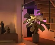 linia Philips Hue Perifo