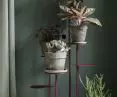 Tillo flowerbed