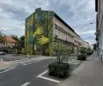 Jezycki mural promoting the importance of urban greenery, Wawrzyniaka/Słowackiego St. - Poznań 