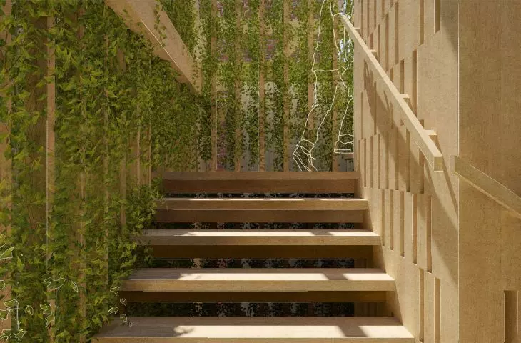 Stairs and wall with vines