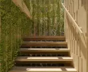 Stairs and wall with vines