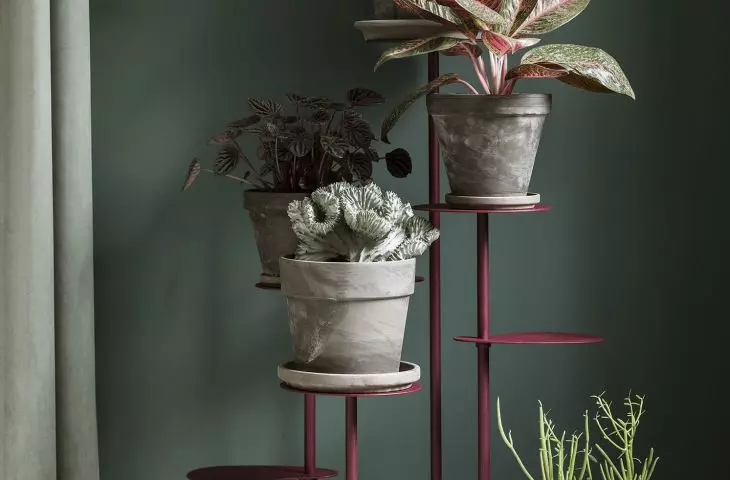 Tillo flower bed, modern plant stand  