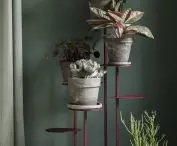 Tillo flower bed, modern plant stand  