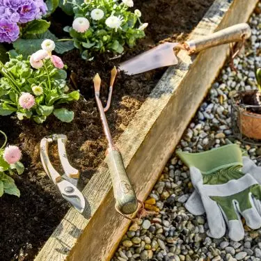 The end of summer is a good time to plant autumn varieties of plants