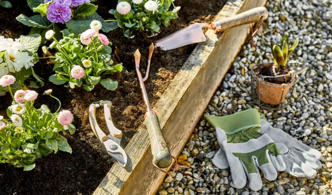The end of summer is a good time to plant autumn varieties of plants