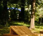 11. edycja Mood for Wood