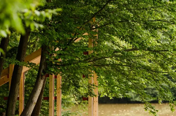 11. edycja Mood for Wood