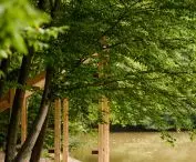 11. edycja Mood for Wood