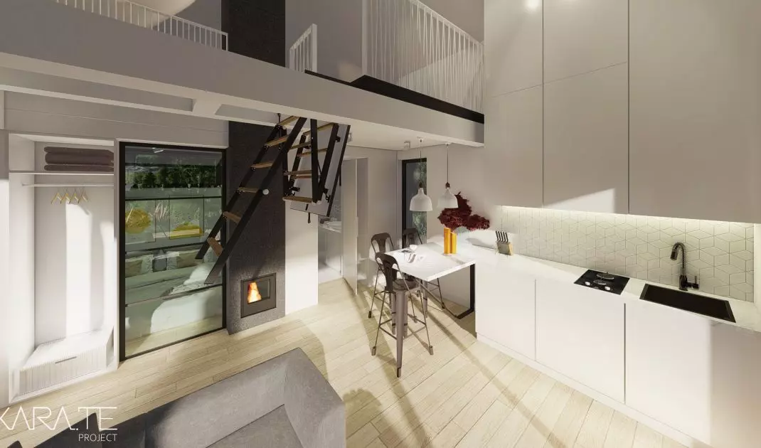 Project of the house 