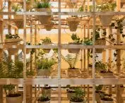 The goal of the exhibition, as Margaret Devosges-Cuber emphasizes, is to empower plant creatures
