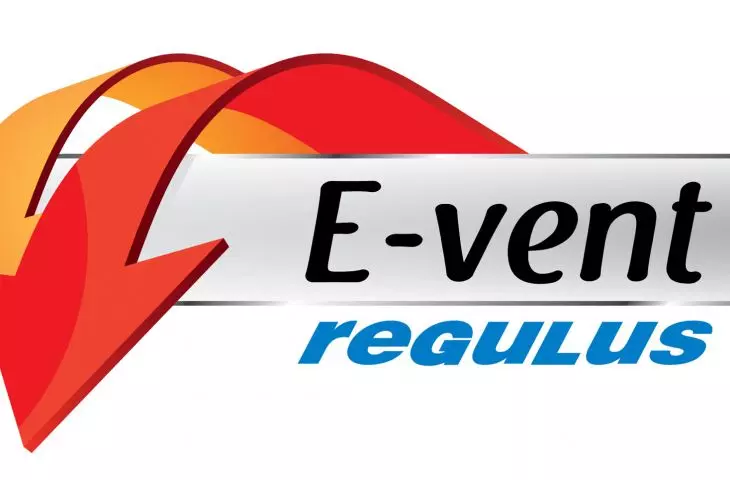 low-temperature heaters REGULUS®-system