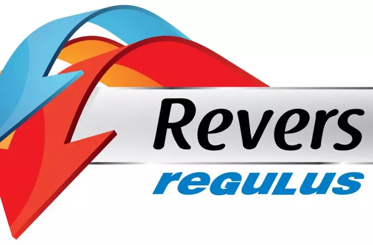 low-temperature heaters REGULUS®-system