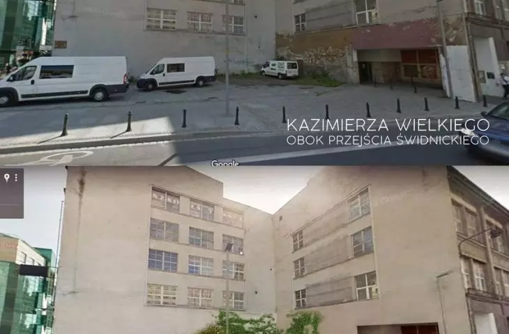 Zazielenianie ulicy Kazimierza Wielkiego we Wrocławiu