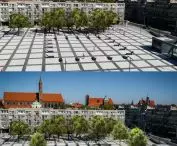 Mossmoss proposal for greening Nowy Targ Square in Wroclaw