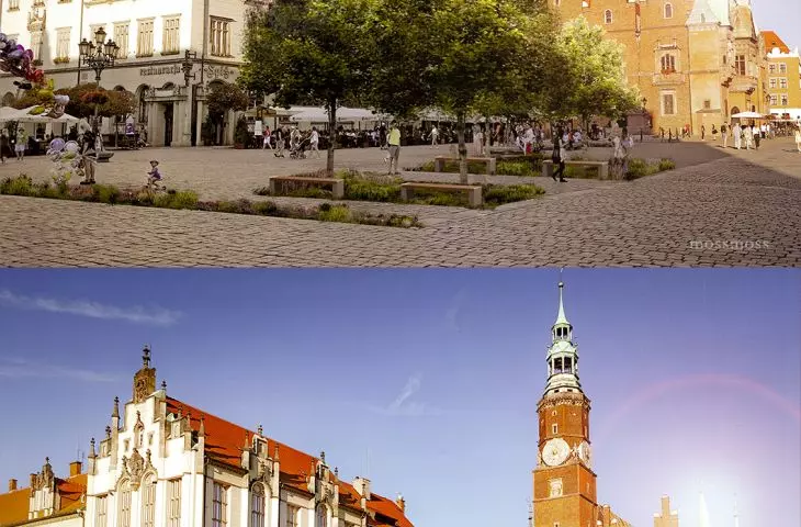 Greening the Market Square in Wroclaw
