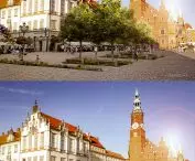 Greening the Market Square in Wroclaw