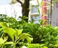 In the selection of greenery, diversity was important
