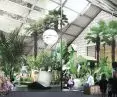 Centrum Kultury i Usług Społecznych w Siemianicach