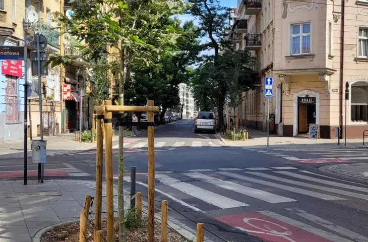 New greenery and trees on Małeckiego Street, Poznań