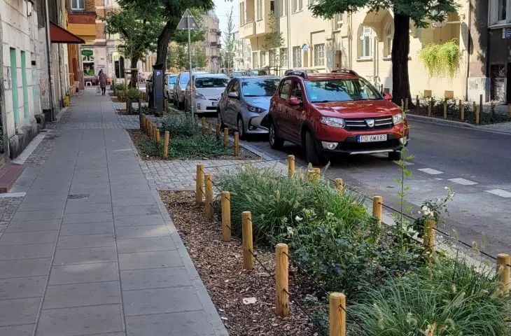 New low greenery and preserved old trees on Małeckiego Street, Poznań