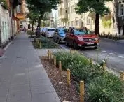 New low greenery and preserved old trees on Małeckiego Street, Poznań