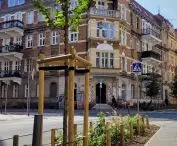 New greenery and trees on Małeckiego Street, Poznań