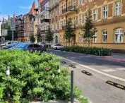 New greenery and trees on Małeckiego Street, Poznań