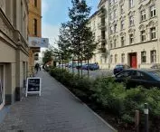 New greenery and trees on Małeckiego Street, Poznań