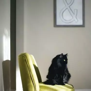 Club armchair