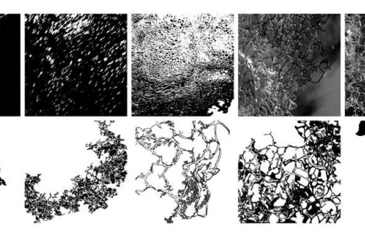 analysis of sensory material