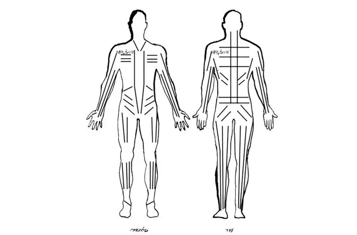 Bodynamic; illustration based on Bodymaps