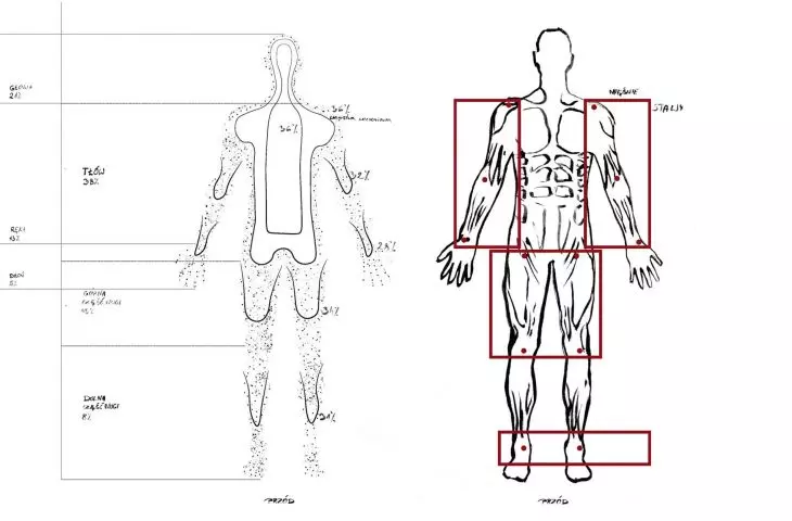 Isotherms and map of deep sensation; illustration based on anatomical diagrams