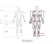 izotermy i mapa czucia głębokiego; ilustracja na podstawie schematów anatomicznych