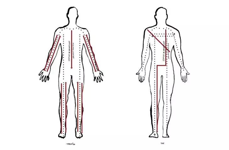 mapa taktylna ciała ilustracja na podstawie schematów anatomicznych