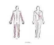 mapa taktylna ciała ilustracja na podstawie schematów anatomicznych