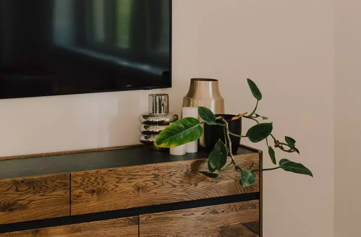 Living area - detail