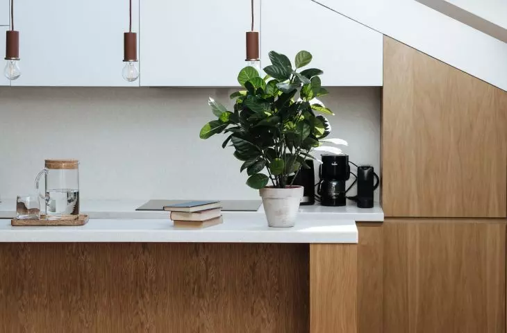Wooden fronts of kitchen cabinets