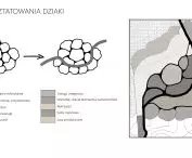 Projekt Re-Wood Housing, idea
