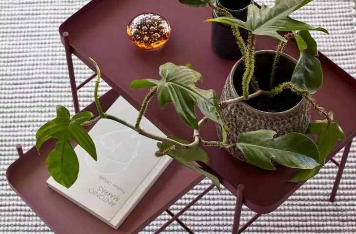 Burgundy table