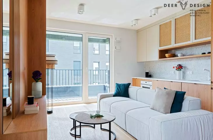 Living room and kitchen