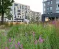 An example of greenery designed by Joanna Rayss' team